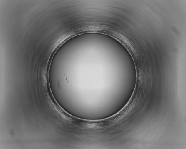 X0000112900794200909041721