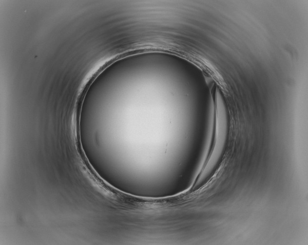 X0000112900796200909041721