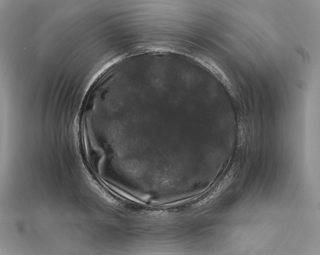 X0000112900798200909041721