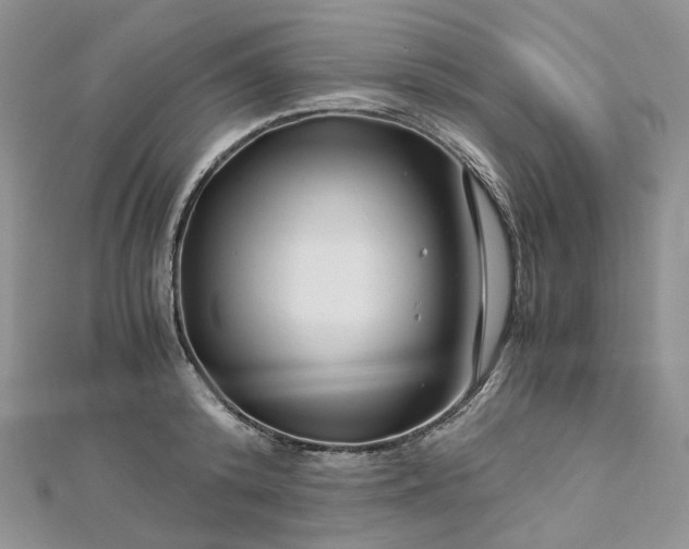 X0000112900800200909041721