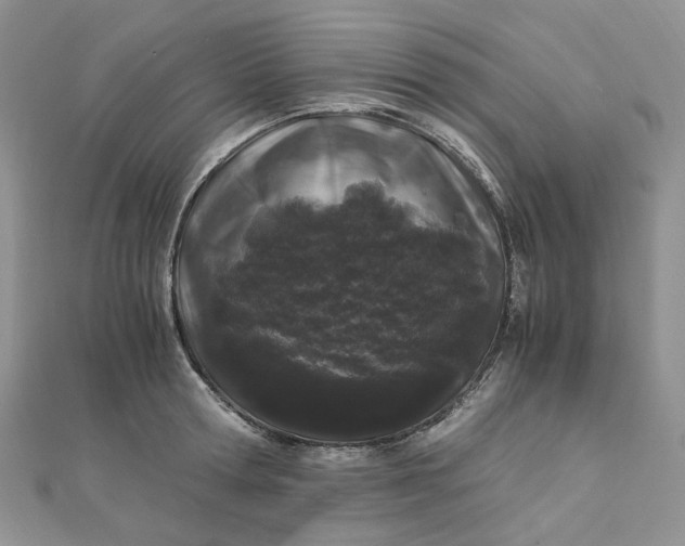 X0000112900802200909041721