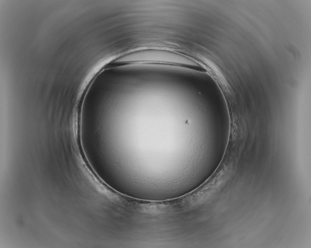 X0000112900804200909041721