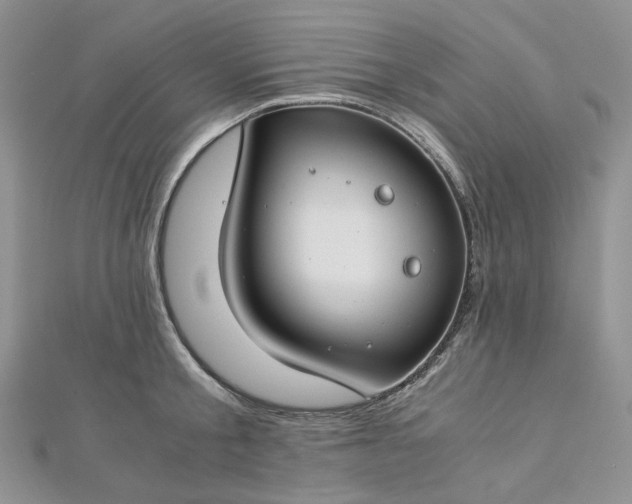 X0000112900805200909041721