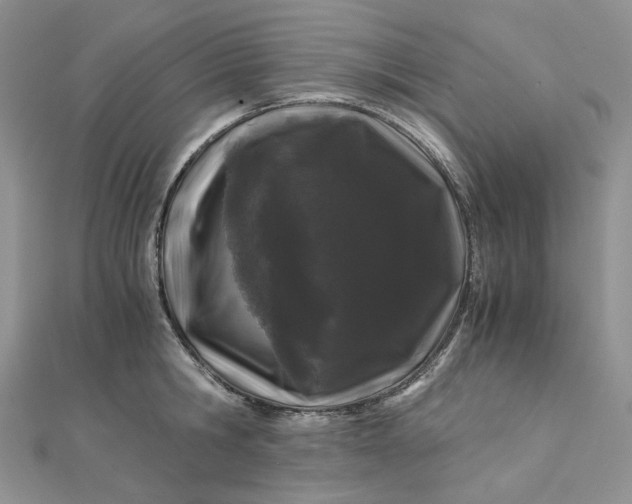 X0000112900806200909041721