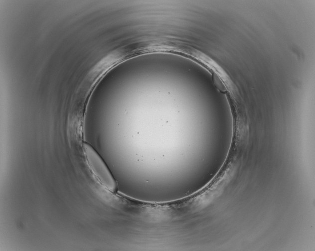 X0000112900809200909041721