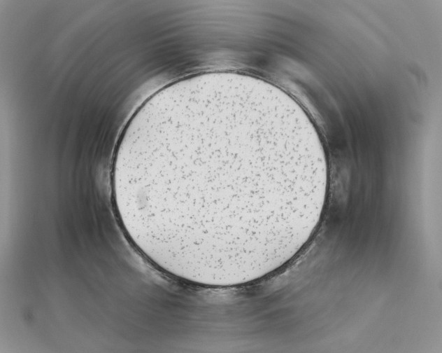 X0000112900810200909041721