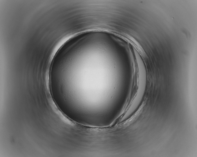 X0000112900812200909041721