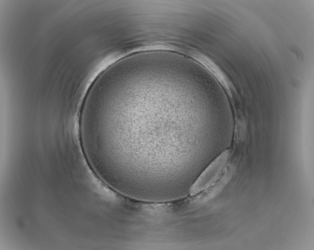 X0000112900813200909041721