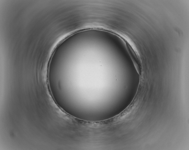 X0000112900815200909041721