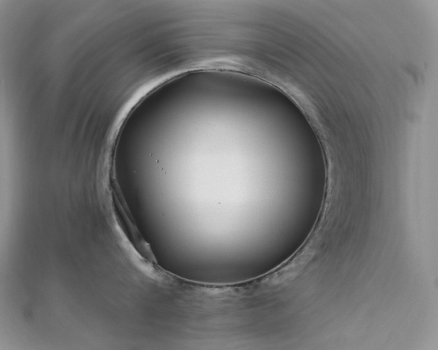 X0000112900816200909041721