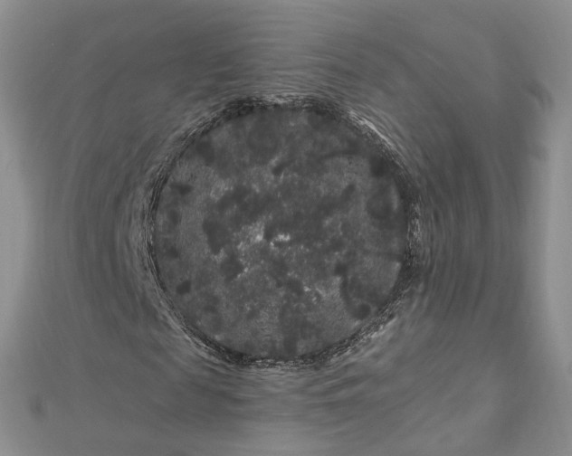 X0000112900817200909041720