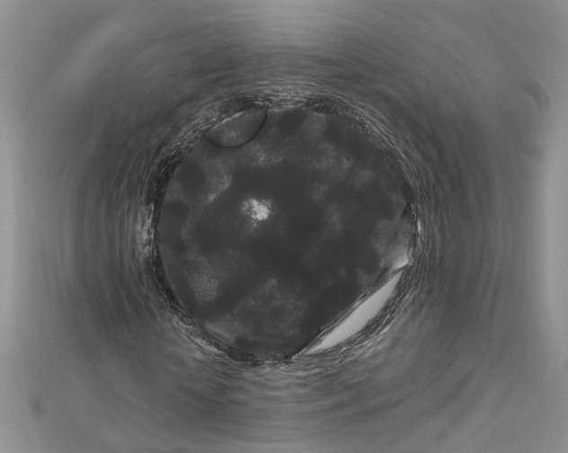 X0000112900818200909041720