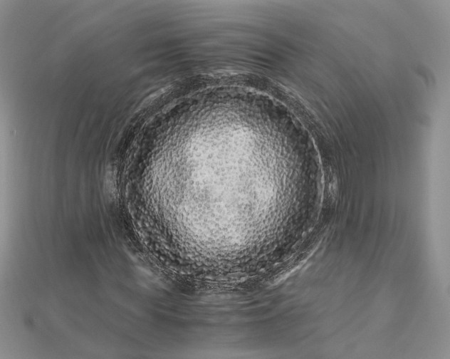 X0000112900819200909041720