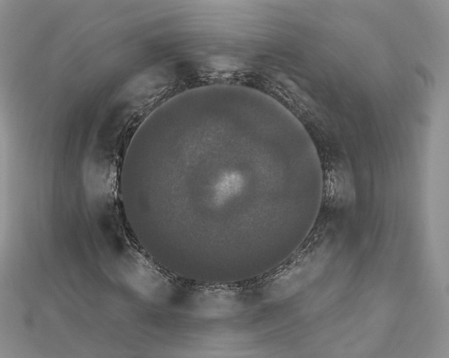 X0000112900820200909041720