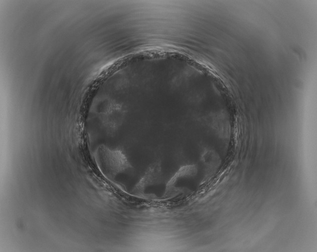 X0000112900822200909041721