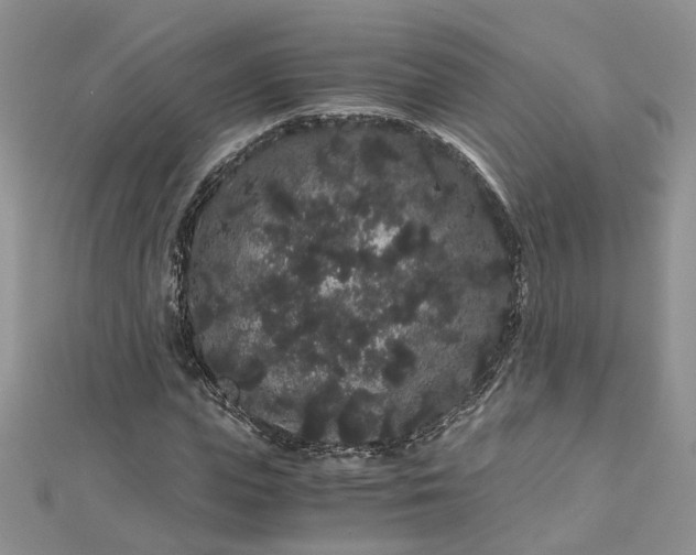 X0000112900823200909041721