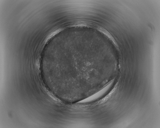 X0000112900826200909041721