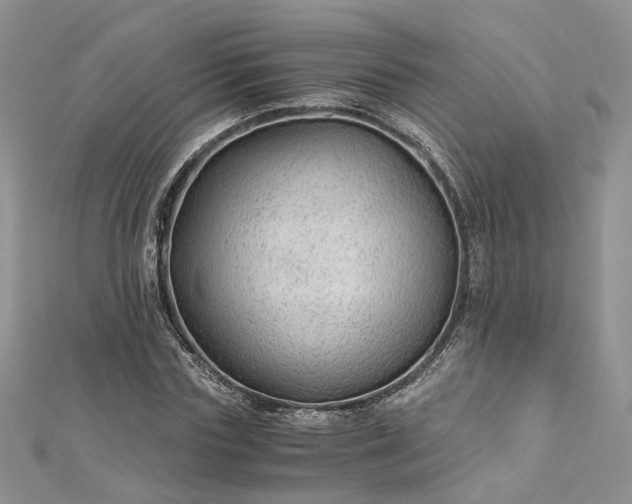 X0000112900827200909041721