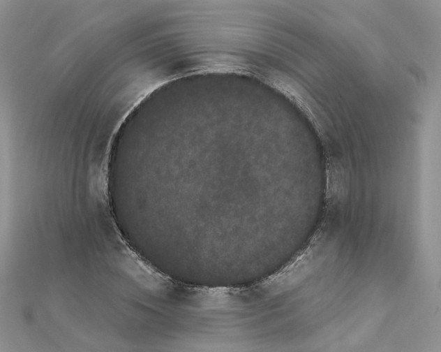 X0000112900828200909041721