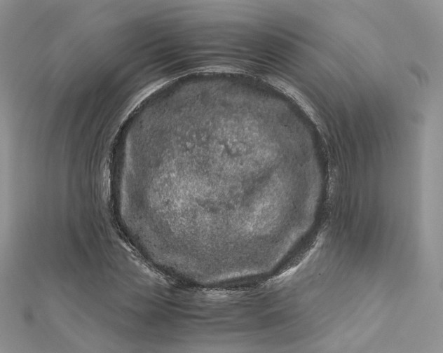 X0000112900829200909041721