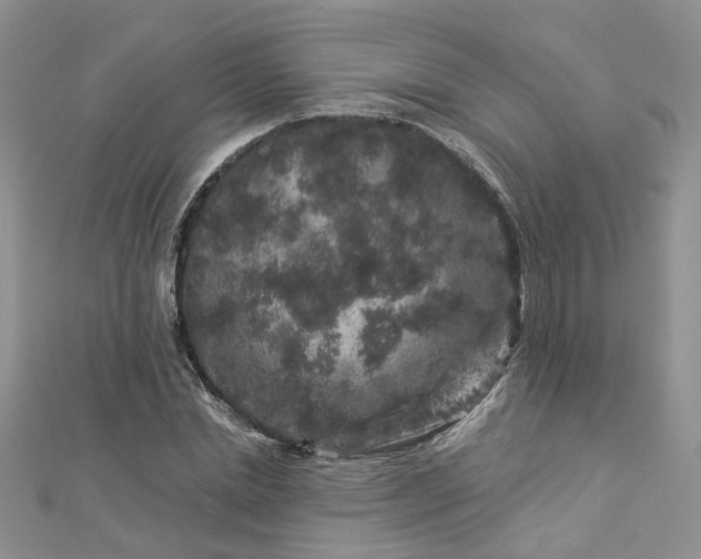 X0000112900830200909041721