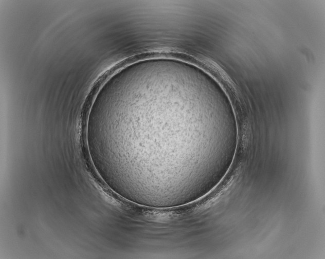 X0000112900831200909041721