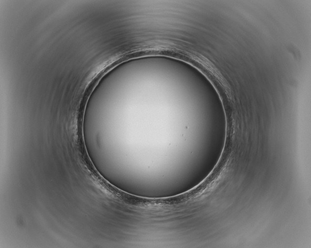 X0000112900834200909041721