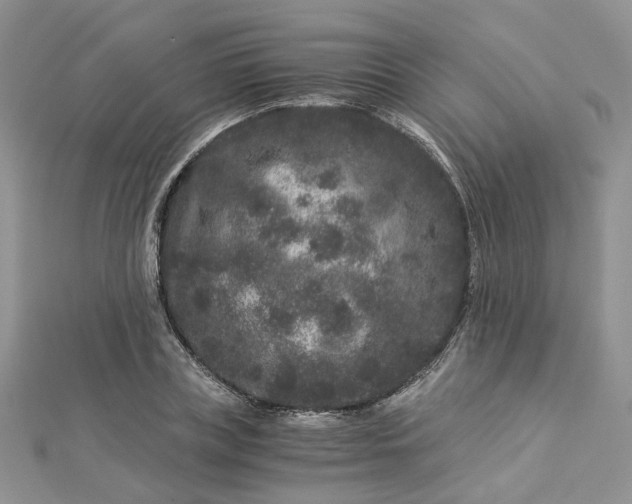 X0000112900835200909041721