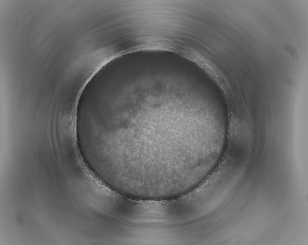 X0000112900836200909041721