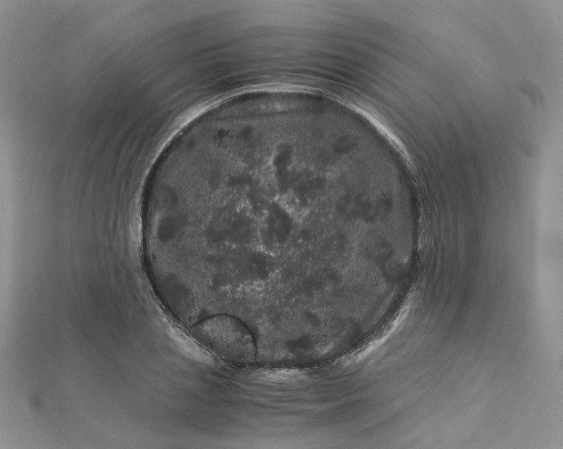 X0000112900837200909041721