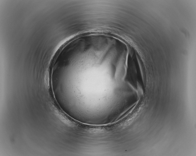 X0000112900838200909041721