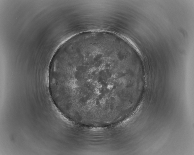 X0000112900839200909041721