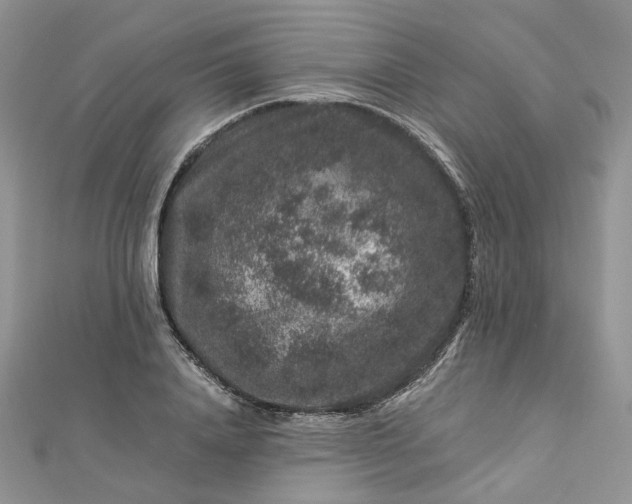 X0000112900840200909041721