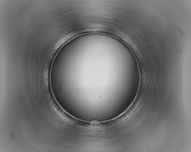 X0000112900842200909041721