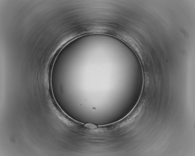 X0000112900843200909041721