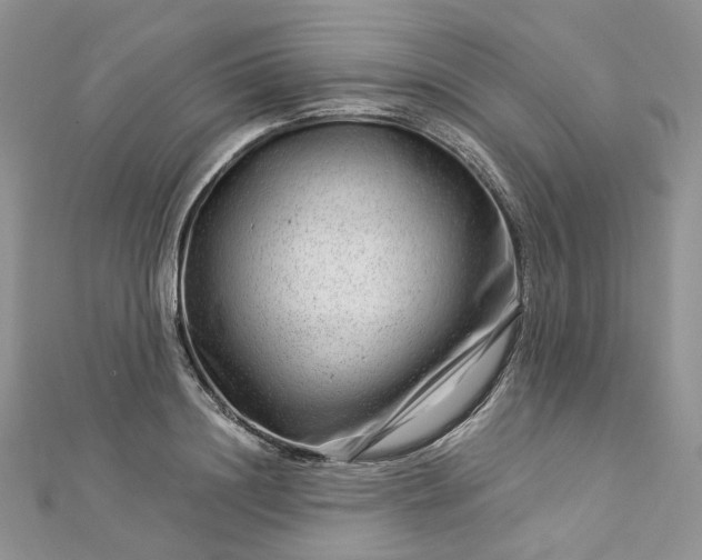 X0000112900844200909041721