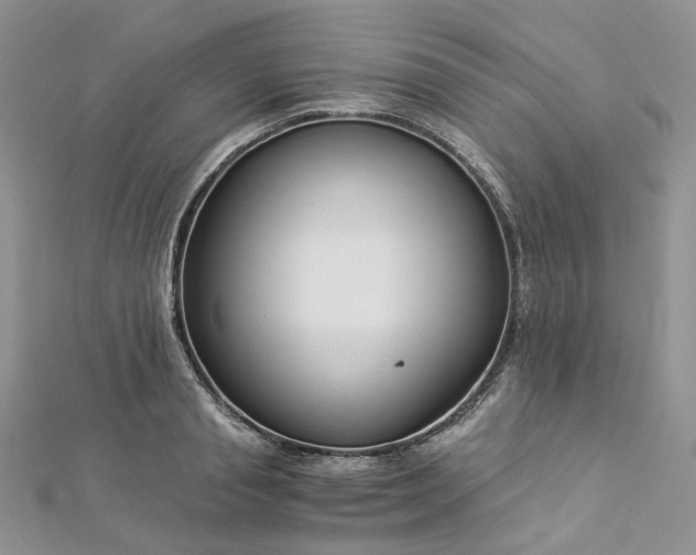 X0000112900845200909041721