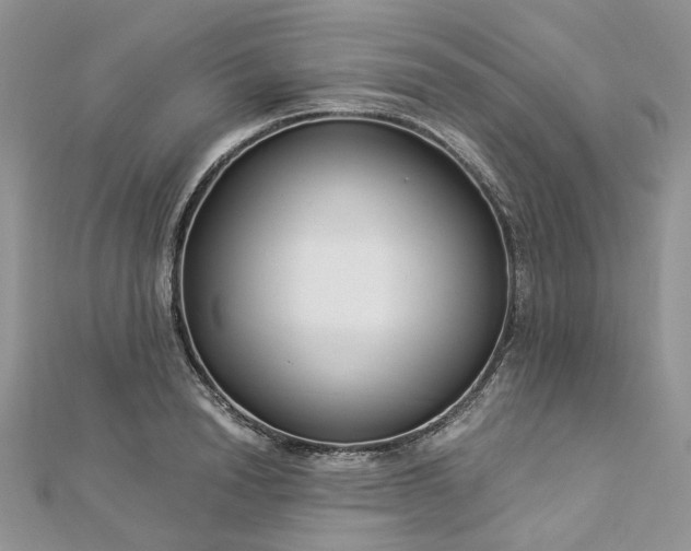 X0000112900846200909041721