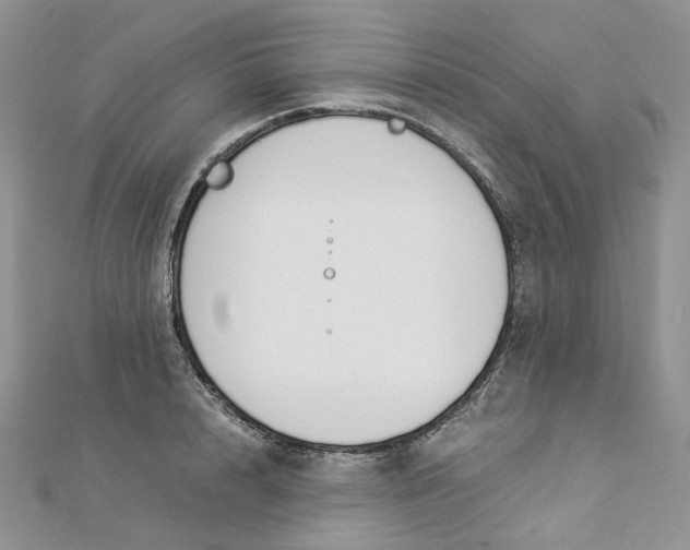 X0000112900848200909041721