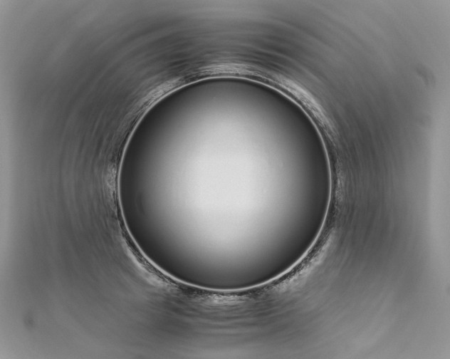 X0000112900849200909041721