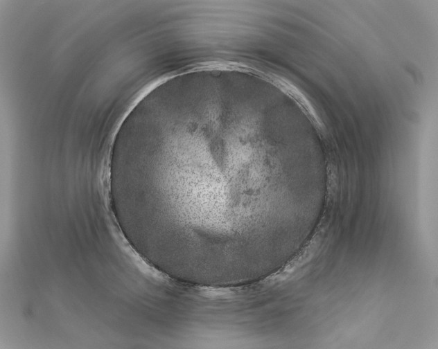 X0000112900852200909041721