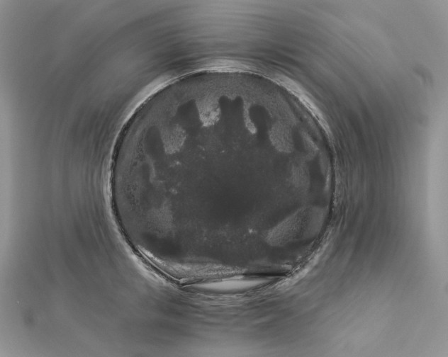 X0000112900853200909041721