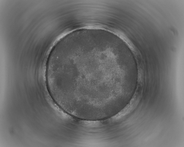 X0000112900856200909041721