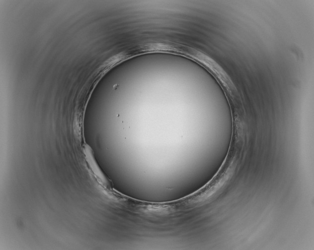 X0000112900857200909041721