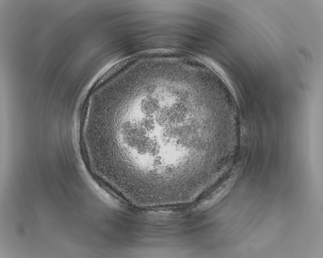 X0000112900859200909041721