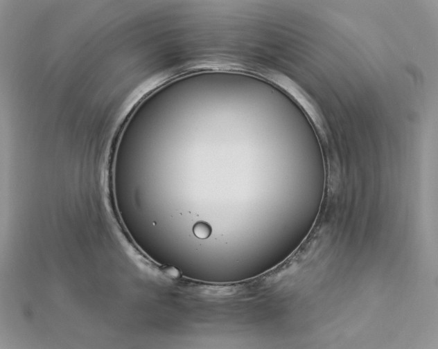 X0000112900861200909041721