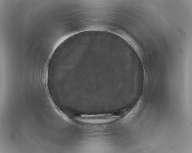 X0000112900862200909041721