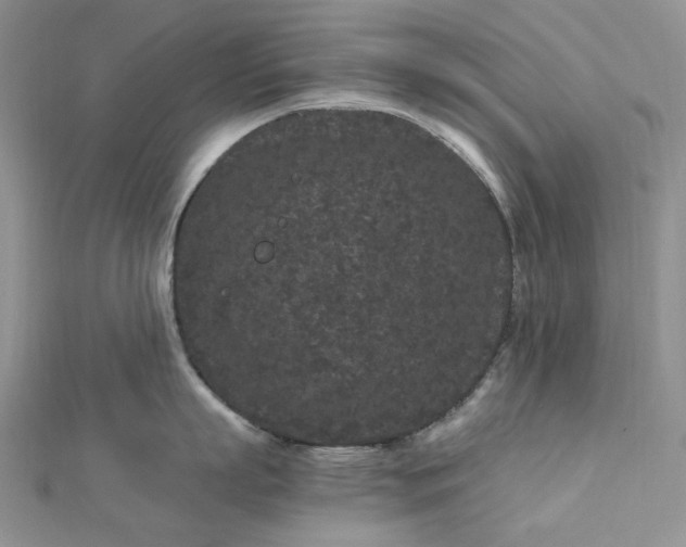 X0000112900863200909041721