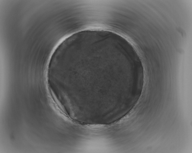 X0000112900864200909041721