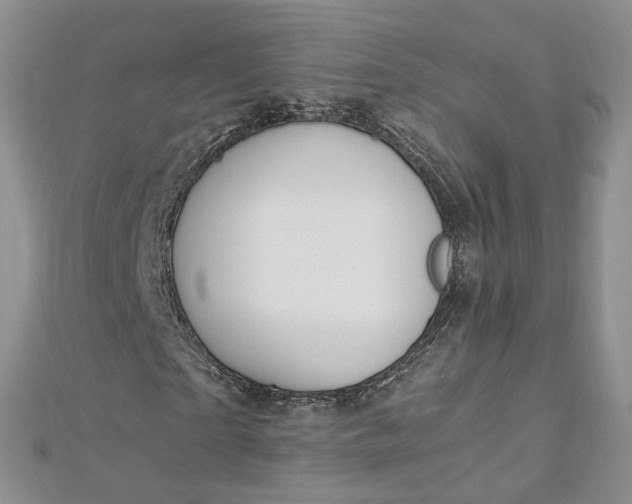 X0000112900865200909041720